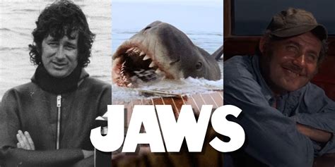 Jaws Most Iconic Moments Ranked Steven Spielberg Movie