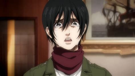 Attack Titan Eren Mikasa Hate Reason