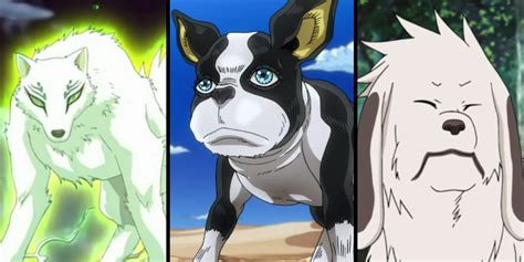 Best Anime Dogs