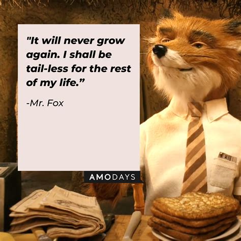 Best Fantastic Mr Fox Quotes