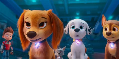 Paw Patrol 3 Confirmation Cast Story