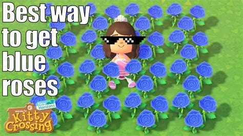 Animal Crossing New Horizons Blue Roses