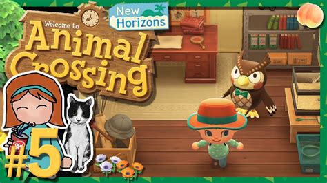 Animal Crossing New Horizons Communication Developer Interview Op Ed
