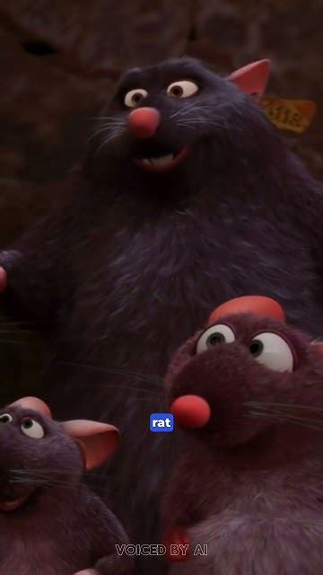 Ratatouille Details Food Lovers Notice