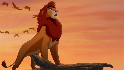 Lion King Disney Simba Age Old Beginning End