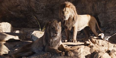 Lion King Mufasa Scar Real Name Taka Detail Canon