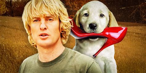 Marley And Me True Story Explained Real Life