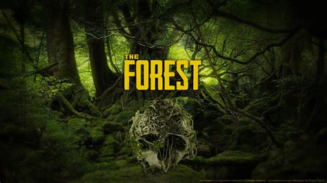 Forest Early Game New Player Guide