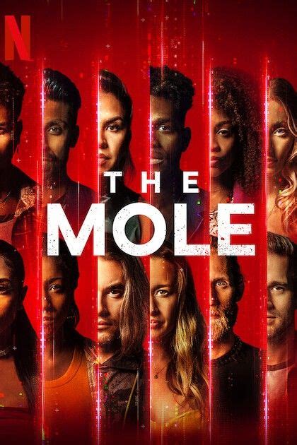 The Mole Season 3 Update