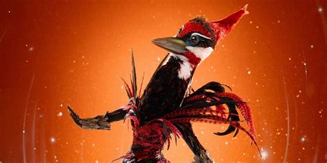 The Masked Singer Woodpecker Identity Clues