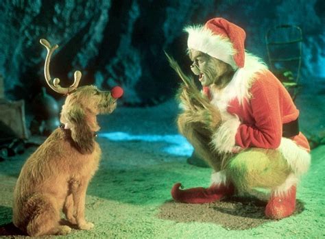 The Grinch Max Dog Breed Explained
