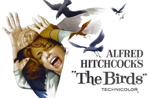 The Birds Hitchcock Movie Ending Explained