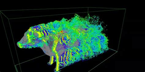Aerodynamics Of A Cow Reddit Twitter Viral Explained