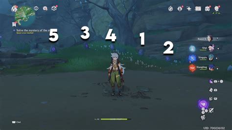 Genshin Impact Mystery Stones Puzzle Solution Guide