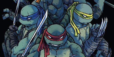 Tmnt Explains New Turtle Siblings Names Meaning One