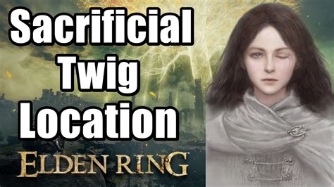 Elden Ring Lose Die Runes Tarnished Sacrificial Twig