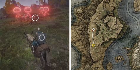 Elden Ring Jellyfish Shield Location Guide
