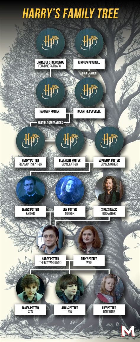 Harry Potter Family Tree Explained