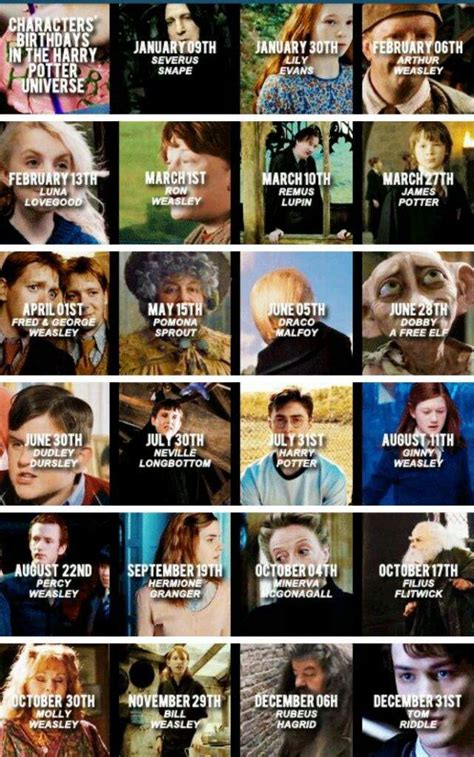 Harry Potter Main Characters Birthdays