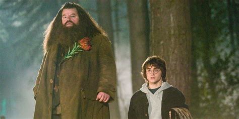 Harry Potter How They Made Hagrid Look Bigger