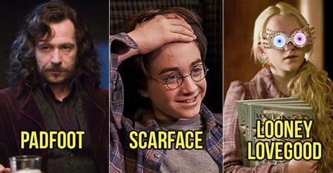 Harry Potter Best Nicknames Series Characters