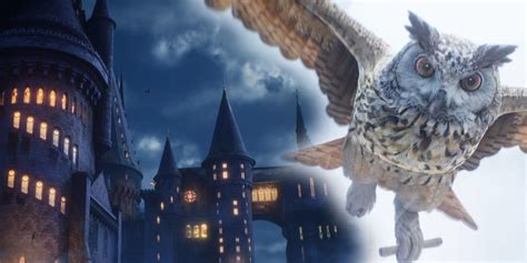 Hogwarts Legacy Update Development Rumors