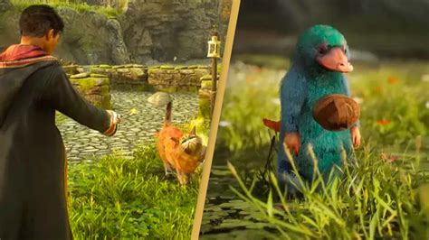 Hogwarts Legacy Animagus Turn Into Animals