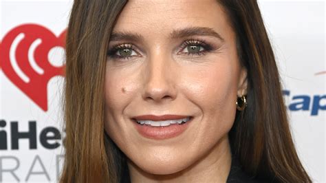 Sophia Bush Projects After Chicago Pd