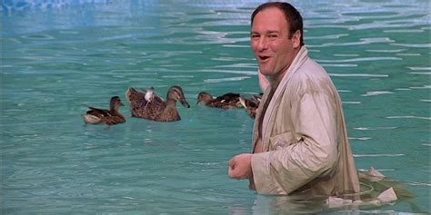 Sopranos Tony Ducks Meaning Family Symbol