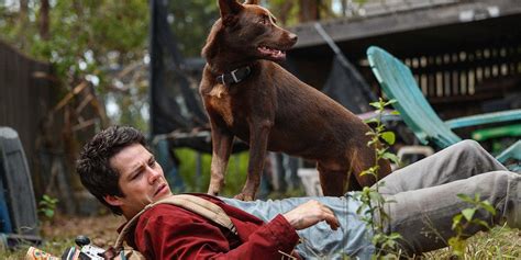 Love And Monsters Dylan O Brien Movie Sequel Must Happen