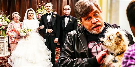 Big Bang Theory Mark Hamill Cameo True Story