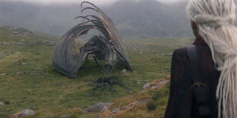 Sheepstealer Wild Dragon Explained House Of The Dragon