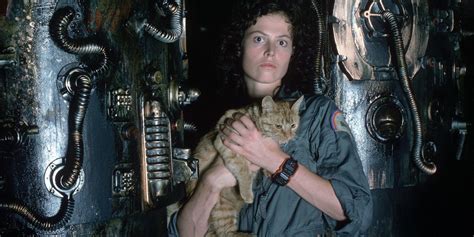 Alien Jones Cat Importance Meaning Explained