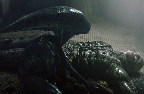 Alien Prometheus First Xenomorph Deacon Explained
