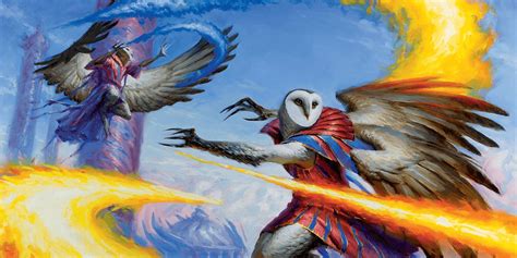 Dnd Best Class Builds Owlin Characters Dungeons Dragons