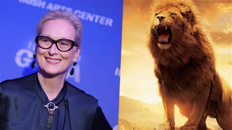 Chronicles Of Narnia Movies Reboot Aslan Mane Meryl Streep Not Change Op Ed