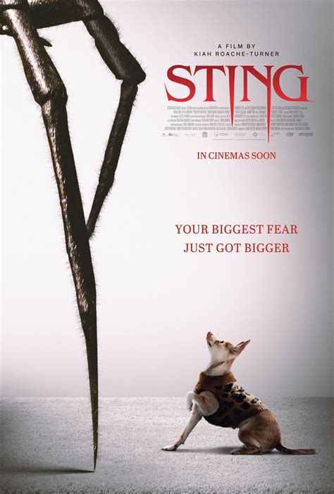 Netflix Oldest Movie The Sting Recommendation