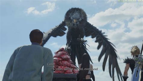 Ff7 Rebirth Bovine Meat Or Monster Flesh Condor