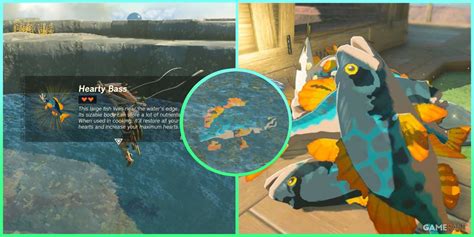 How To Farm Hearty Bass Location Zelda Tears Kingdom