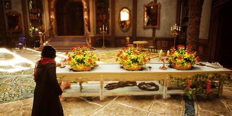 How To Get More Mallowsweet Seeds Leaves Hogwarts Legacy