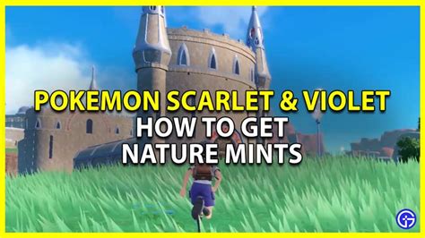 How To Get Nature Mints Location Pokemon Scarlet Violet