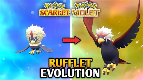 How To Evolve Rufflet Braviary Pokemon Scarlet Violet