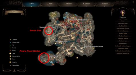 How To Get Use Sussur Bloom Flower Bg3