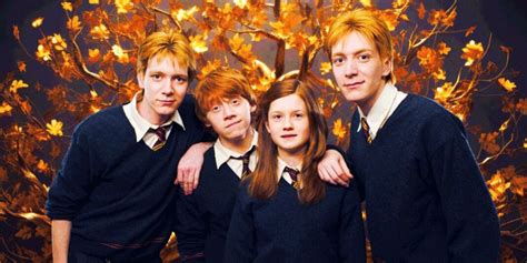 Weasley Family Tree Harry Potter Explained