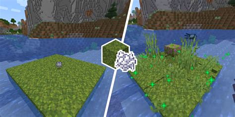 Minecraft Get Use Moss Blocks Guide