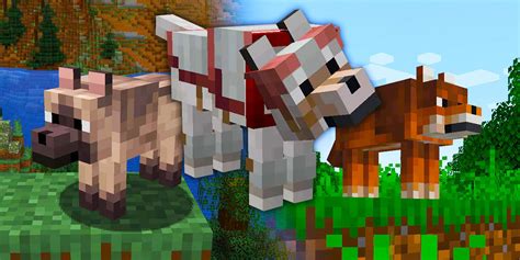 Minecraft Java Bedrock Editions All Wolf Variants
