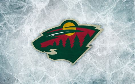 Minnesota Hockey