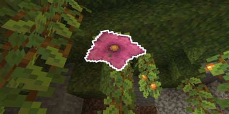 Minecraft Get Spore Blossoms Uses Guide