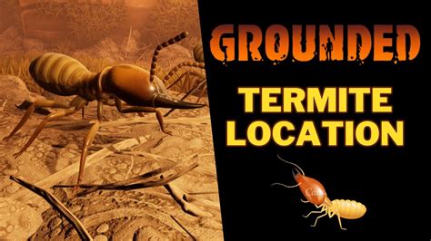 Termites Location Uses Grounded