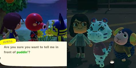 Hidden Secret Things To Do In Animal Crossing